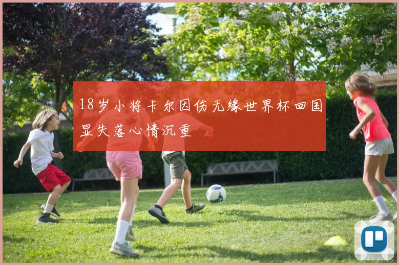 18岁小将卡尔因伤无缘世界杯回国显失落心情沉重