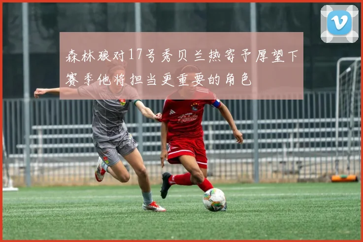 森林狼对17号秀贝兰热寄予厚望下赛季他将担当更重要的角色