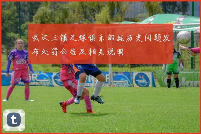 武汉三镇足球俱乐部就历史问题发布处罚公告及相关说明